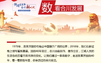 江城县2018年人口_普洱市江城县宝藏镇医务人员开展健康知识大比拼(3)