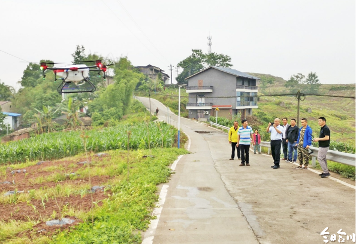 香龙镇:无人机植保助力脱贫攻坚