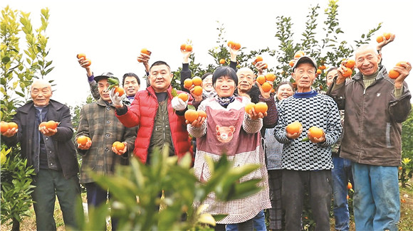 村民脸上洋溢着丰收的喜悦。通讯员 邱云春 摄