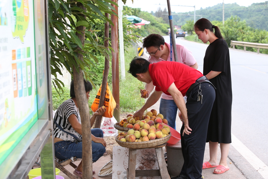 村民摆摊销售新鲜黄桃，游客停车购买