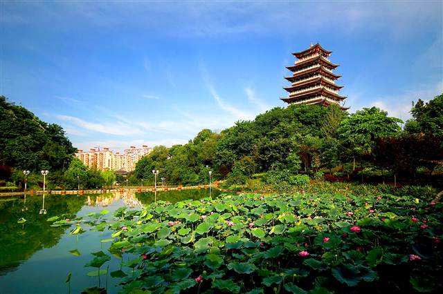 荣昌人口_荣昌折扇图片