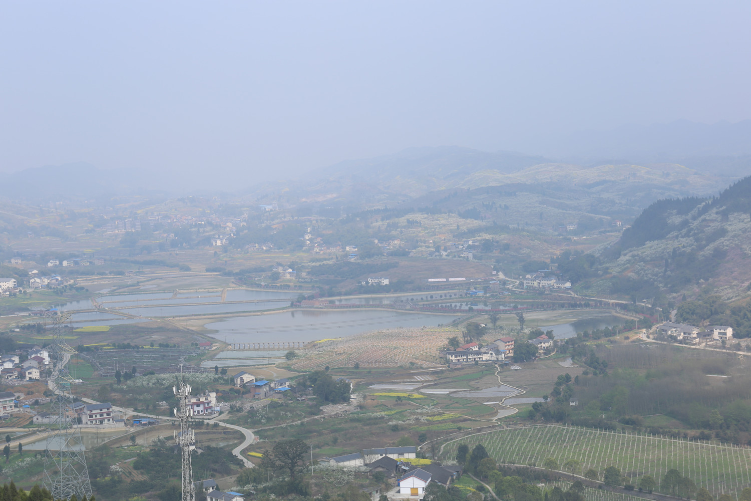艺花海人家作者:陈艺天蓝水绿小草青青作者:67官渡镇金色的季节作者