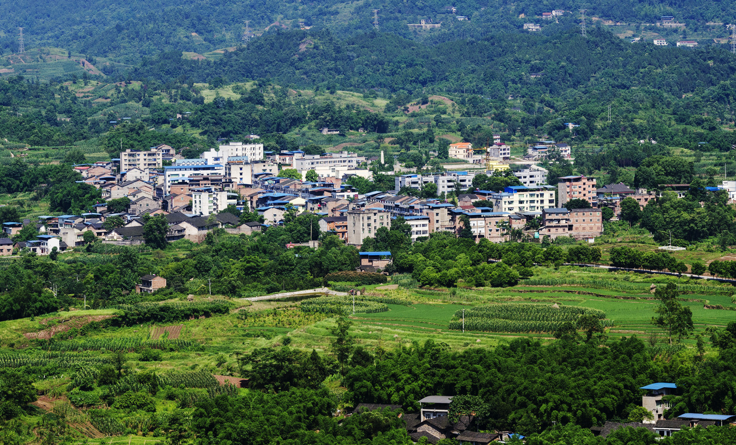 山乡流云作者:陈明金色作者:唐坤华春耕一角作者:香龙镇旖旎春光作者