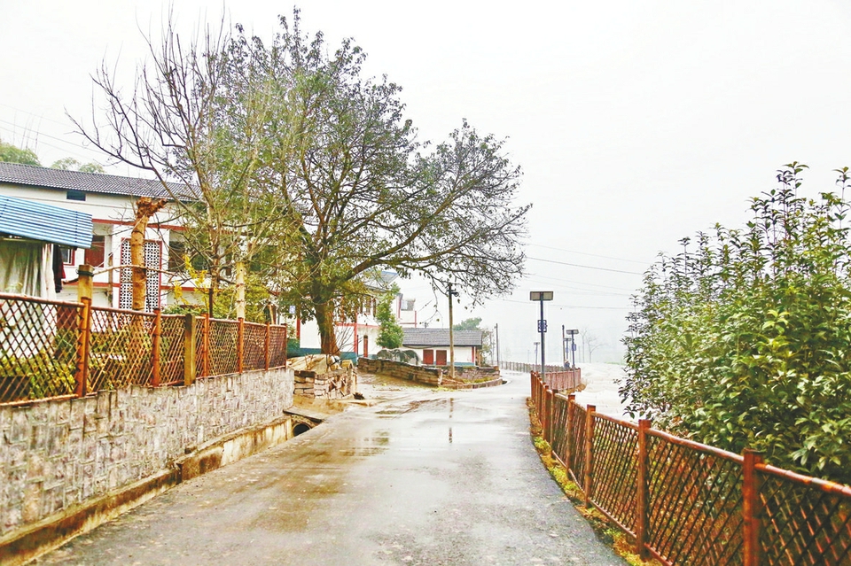 渭沱镇改善农村人居环境 建设美丽幸福家园 - 今日合川网
