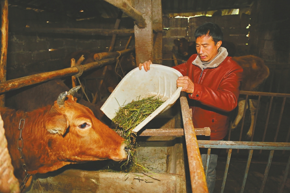 记隆兴镇滴水村脱贫户陈仁福