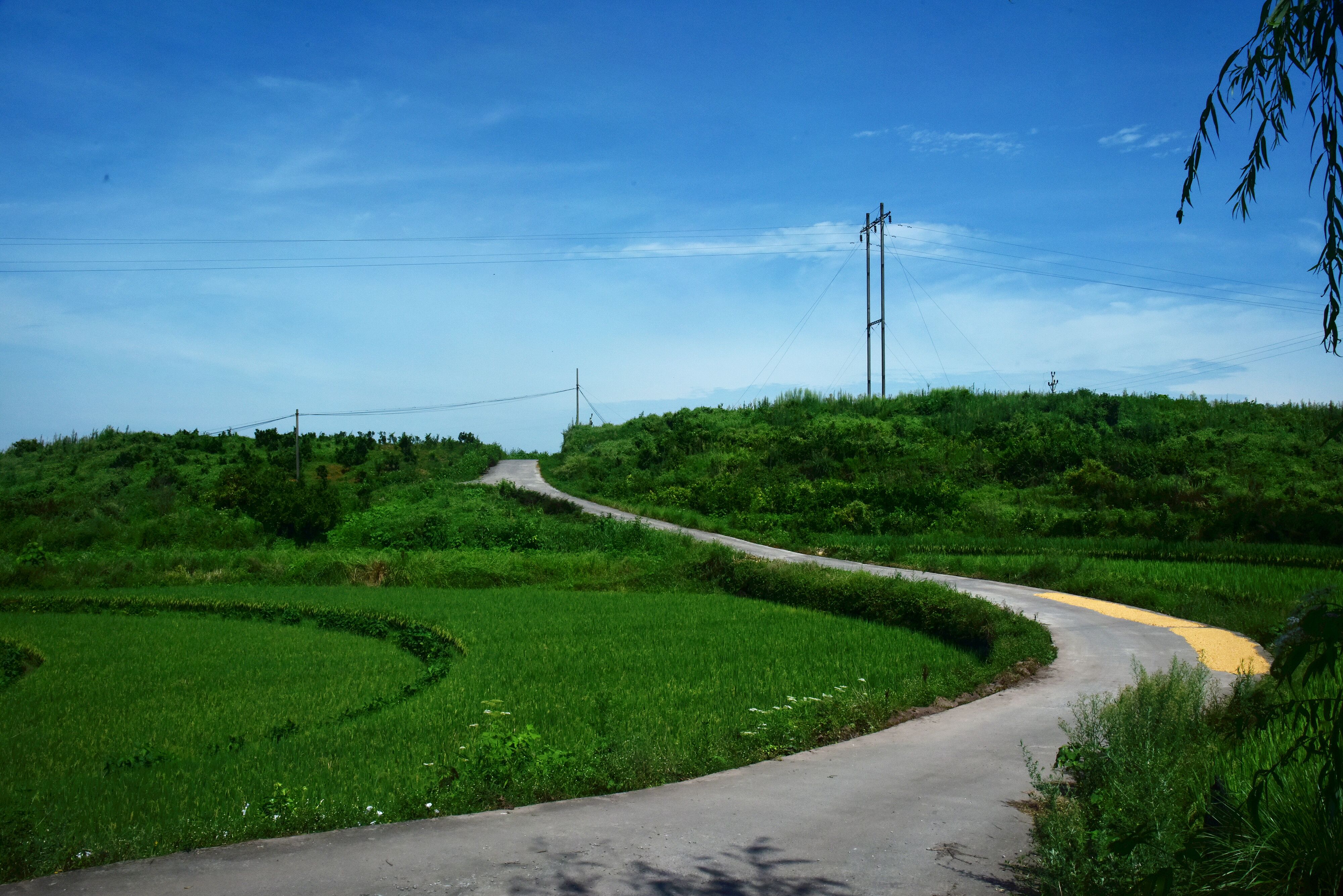 农村公路通村率100%