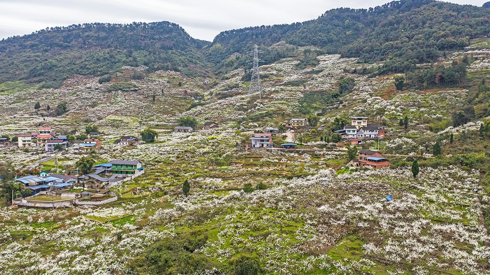 双凤镇建设宜居宜业宜游的城乡融合发展镇