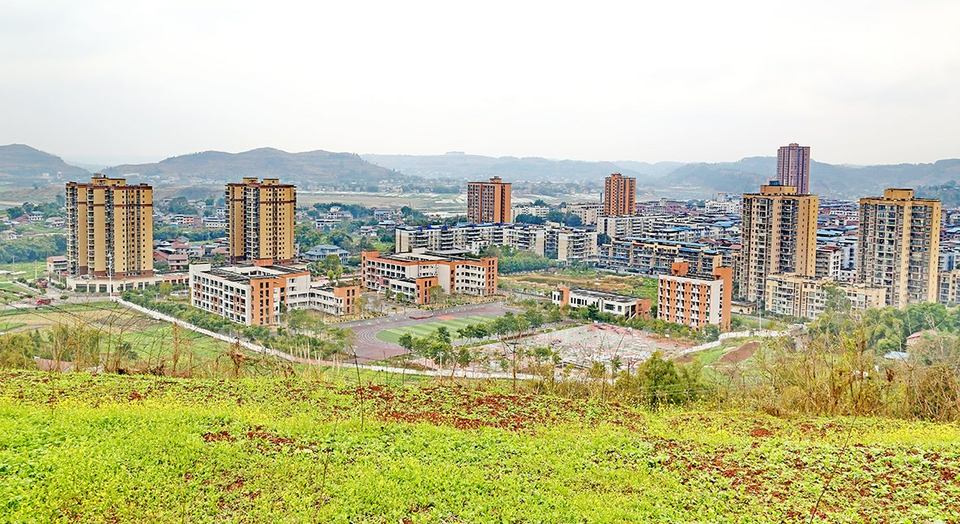 太和镇抢抓发展机遇 共建"绿色家园·共美太和" - 今日合川网