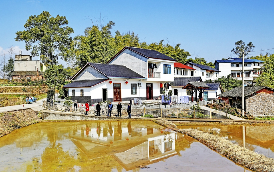 肖家镇:努力建成城乡协同发展先行区