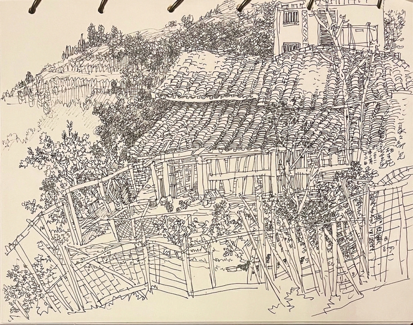 丹青不渝解乡愁钢笔慢讲钓鱼城