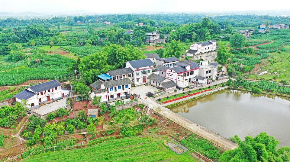 画卷——钱塘镇大柱村富龙沟院子人居环境整治工作小记 - 今日合川网