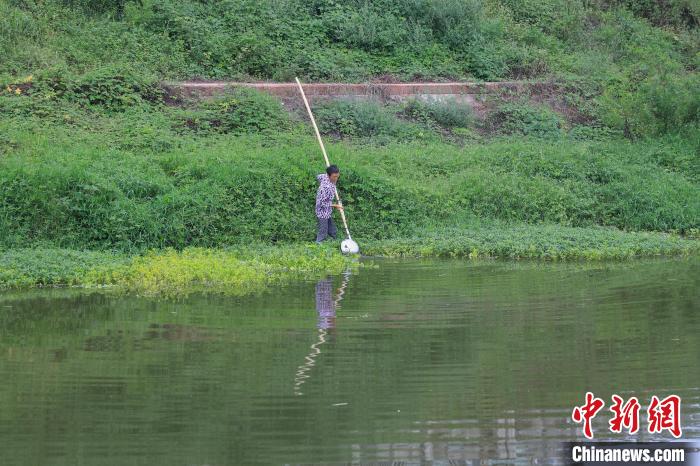 当地居民清理南溪河内的垃圾。　梁钦卿 摄