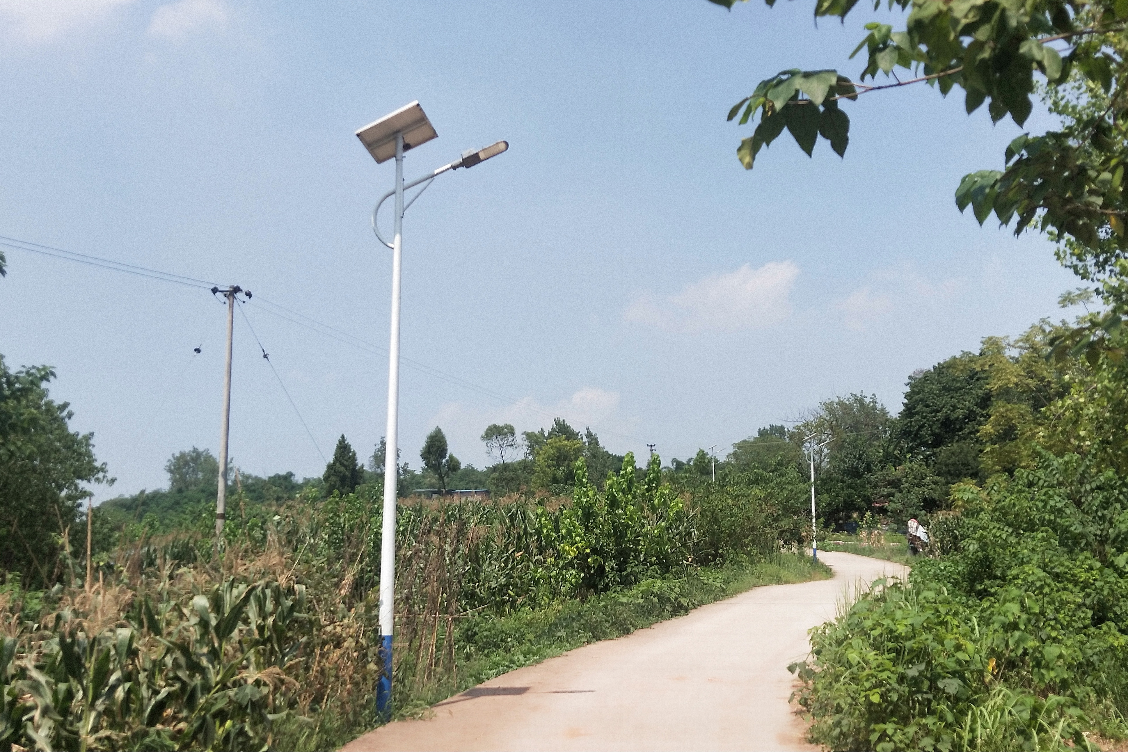 渭沱镇大岚村探索发展新模式按下增收加速键