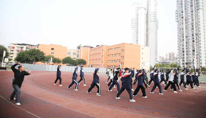 合川非遗风采三元门武术一招一式见精神