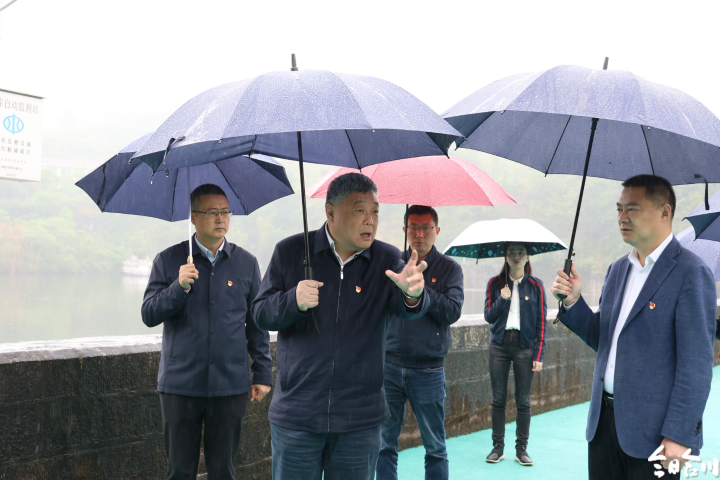 郑立伟调研督导合川区生态环境保护重点关注问题整改工作