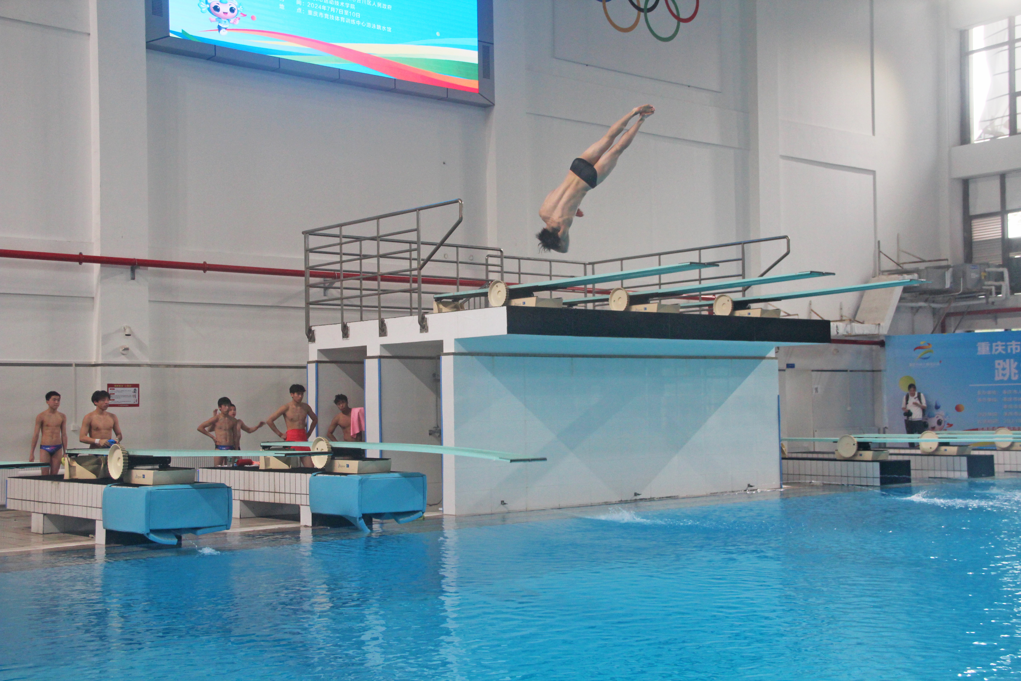 聚焦市七运会|跳出青春风采 市七运会跳水(青少年组)比赛产生23块金牌