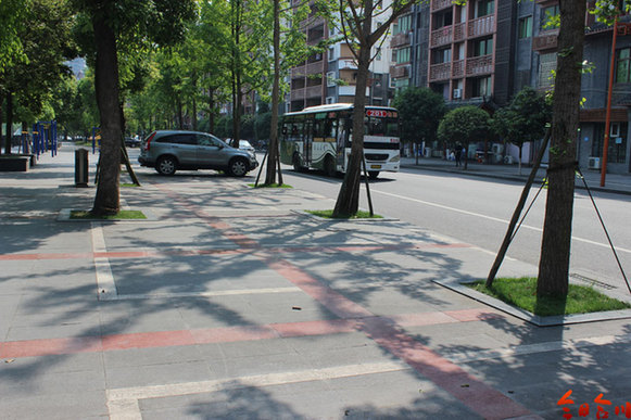 嘉滨路上的车都停哪去了? 多部门联手梳理城区道路停车位