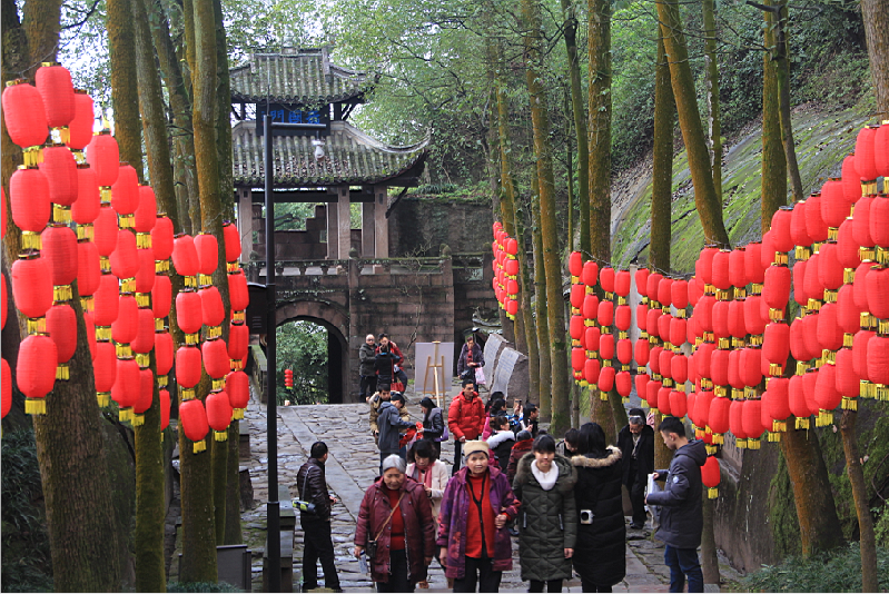 491号《大红灯笼挂鱼城》